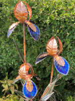 i. Iris root sculpture.png